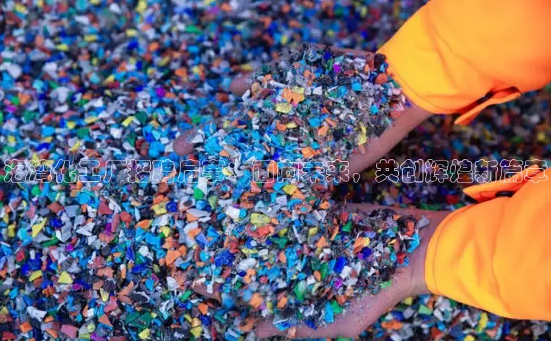 贝博app体育下载安装